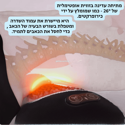 כרית טיפול הגב BackNest - מבית PELZA