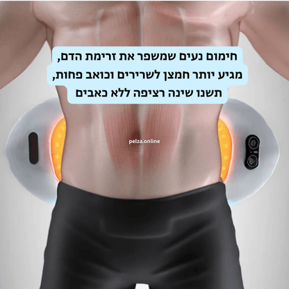 כרית טיפול הגב BackNest - מבית PELZA